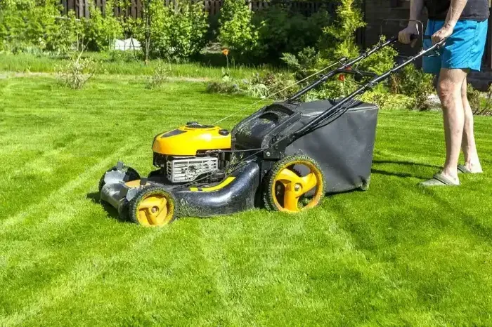 Affordable Lawn Mowing in Tracy, CA