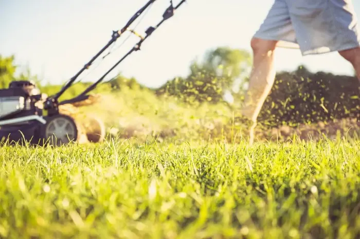 Can you mow wet grass in Tracy, CA