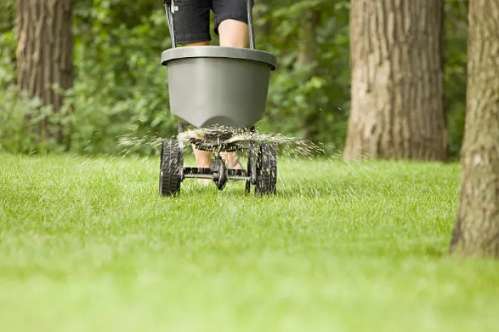 Dependable Lawn Fertilization in Tracy, CA