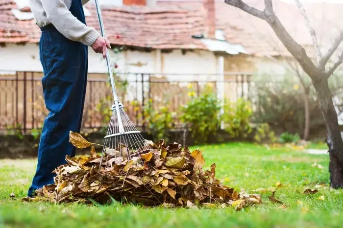 Detailed Yard Cleanup in Tracy, CA