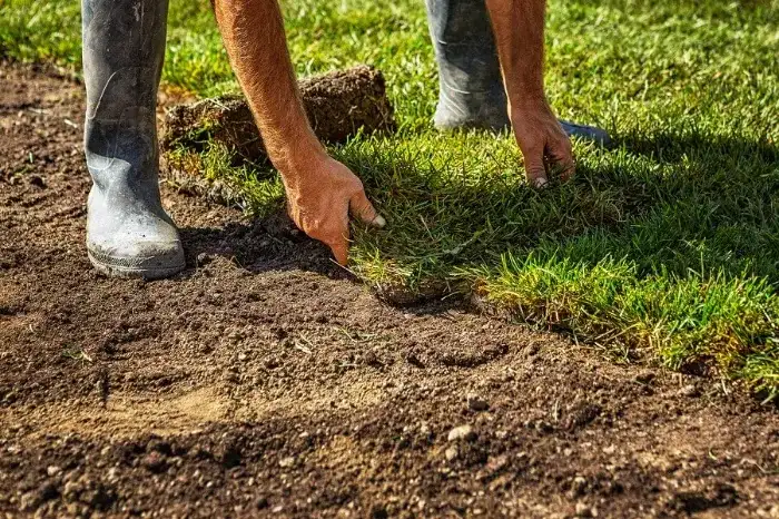 Excellent Sod Installation in Tracy, CA