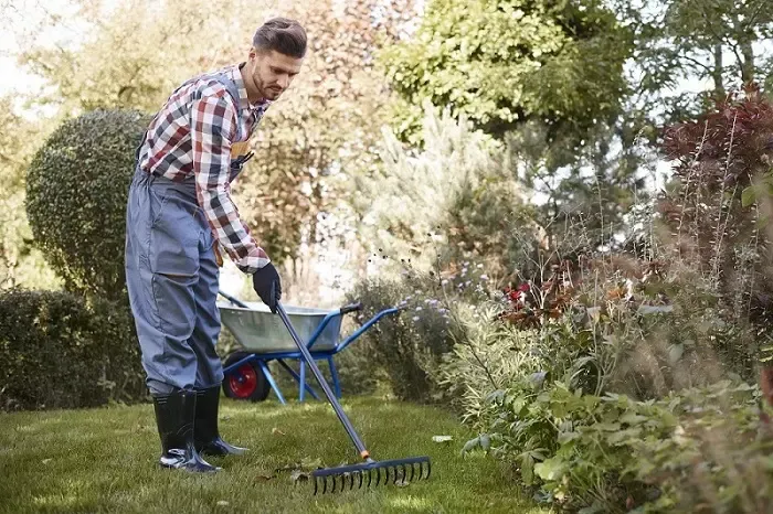 Exceptional Yard Cleanup in Tracy, CA