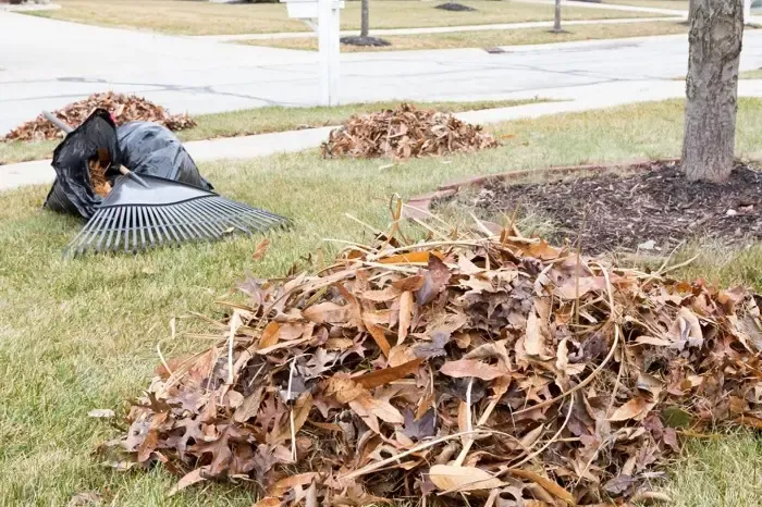 High-quality Yard Cleanup in Tracy, CA