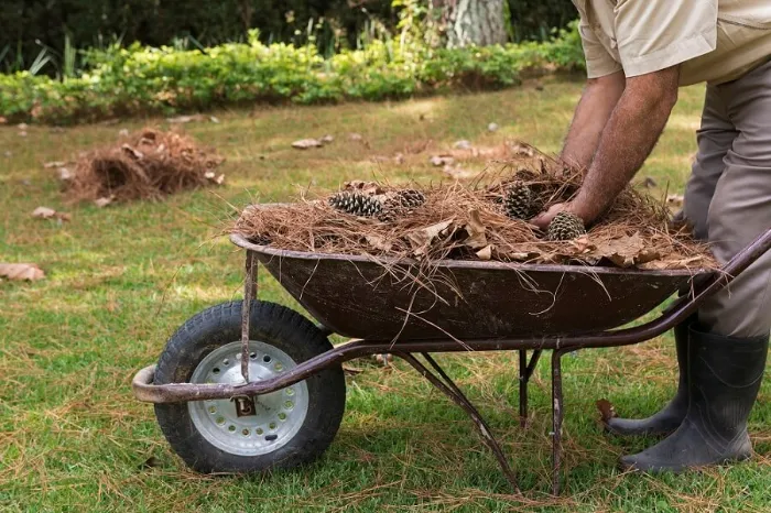 How To Clean A Backyard in Tracy, CA