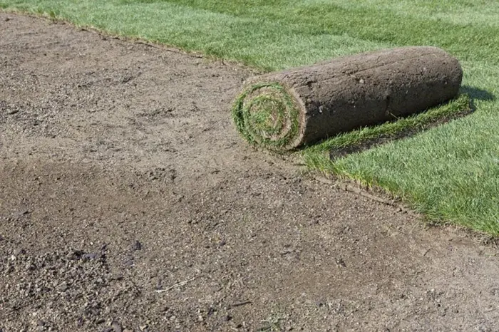 How long after installing sod can you walk on it Tracy, CA