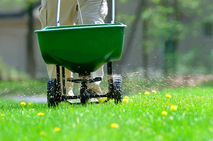 How often should you fertilize your lawn in Tracy, CA