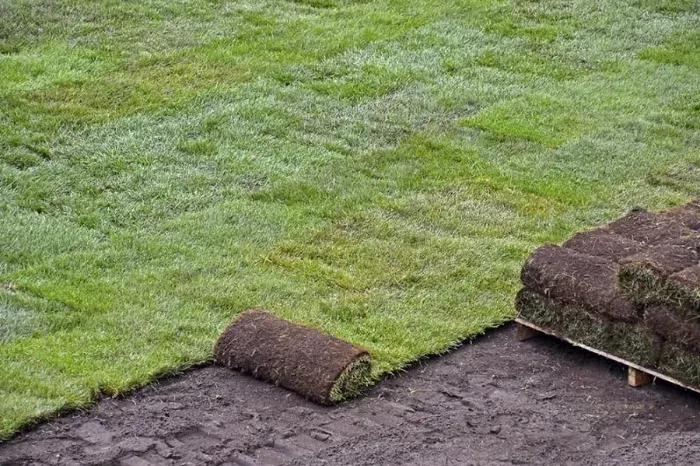 How to lay sod over existing lawn Tracy, CA