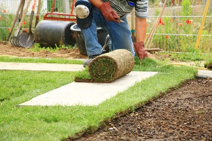 How to lay sod over existing lawn in Tracy, CA