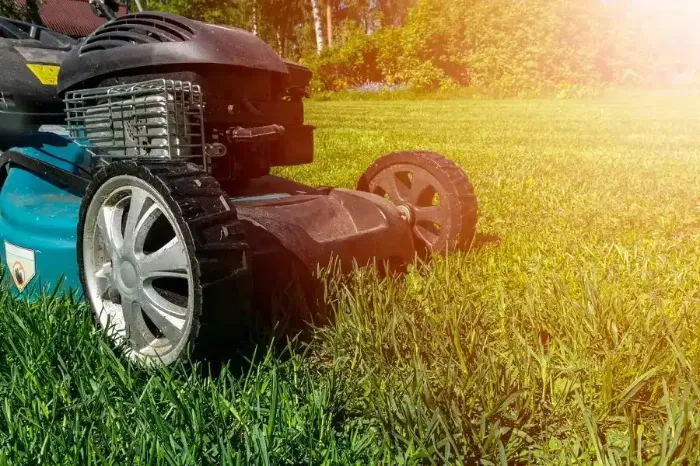 Professional Lawn Mowing in Tracy, CA