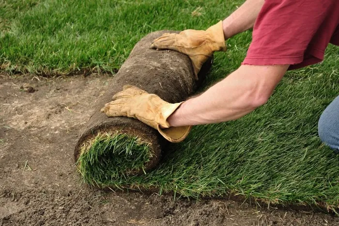 Proficient Sod Installation in Tracy, CA