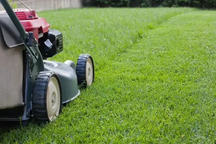 Reliable Lawn Mowing in Tracy, CA