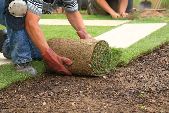 Trusted Sod Installation in Tracy, CA