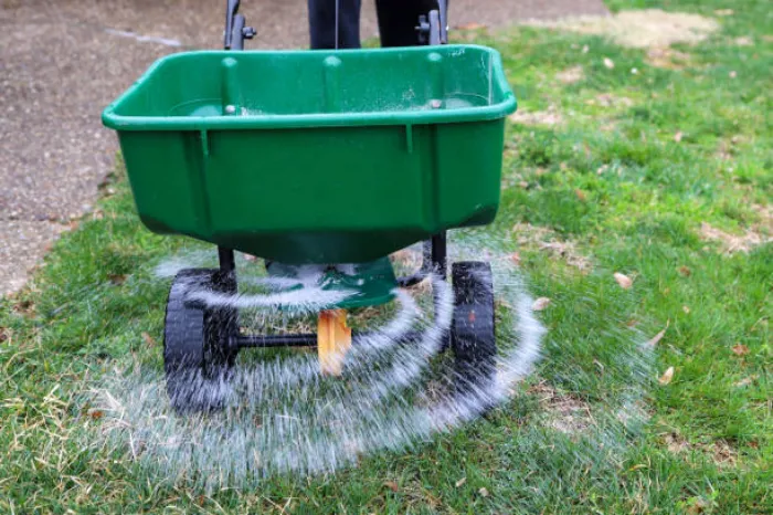 When is the best time to fertilize your lawn in Tracy, CA